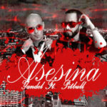 Yandel Ft. Pitbull - Asesina MP3